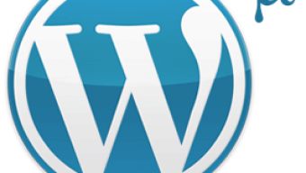 WordPress MU 2.9.1 ออกแล้ว